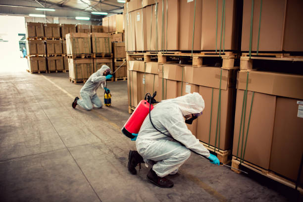 Best Termite Control Services  in Augusta, WI