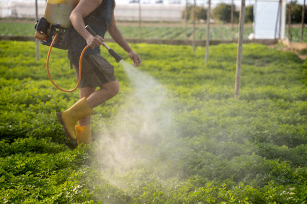 Best Pest Control for Restaurants  in Augusta, WI