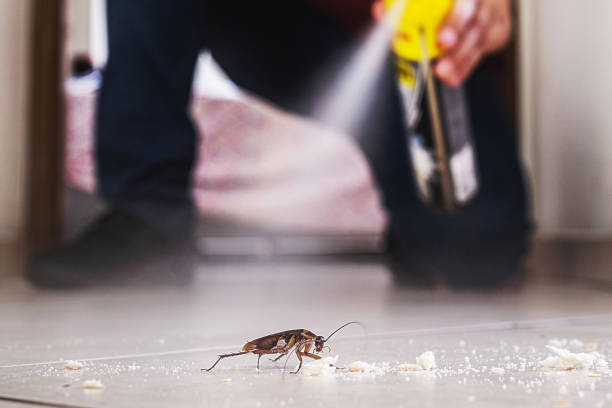 Best Pest Removal Services  in Augusta, WI