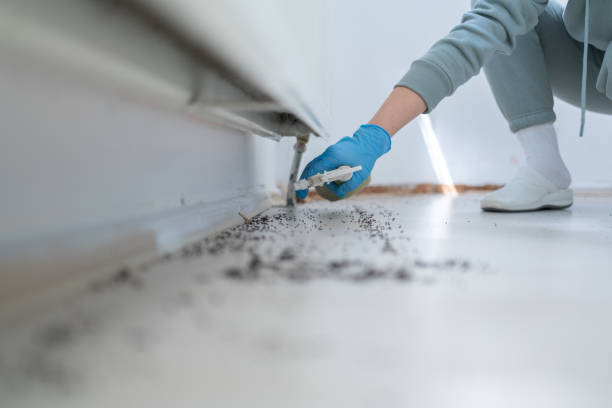 Best Affordable Pest Control Services  in Augusta, WI