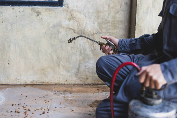 Best Emergency Pest Control  in Augusta, WI